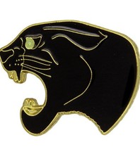 Godert.me Black panther gold Pin