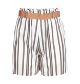 Pinko Umano shorts striped