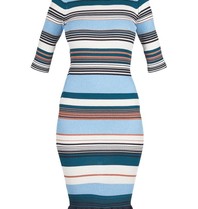 Pinko Stornello dress striped blue