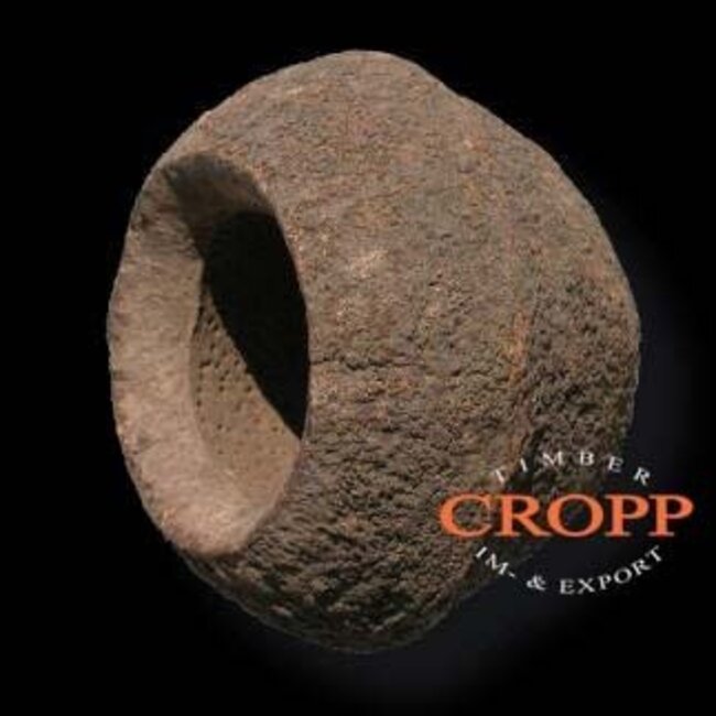 Sapucaia Nut 3 pieces Set