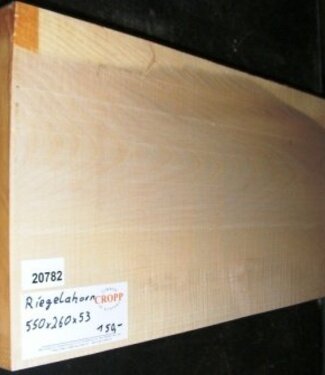 RIEGELAHORN, Gitarrenkorpus, 550 x 260 x 53 mm, 4,9 kg