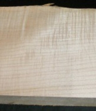 RIEGELAHORN, Gitarrenkorpus, 550 x 210 x 50 mm, 5,3 kg