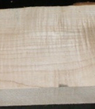 Sycamore fiddleback, Guitar-Body, 540 x 215 x 50 mm, 5,6 kg