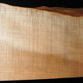 SPITZAHORN, "Soft Maple", geriegelt, 543 x 185 x 55 mm, 3,3  kg