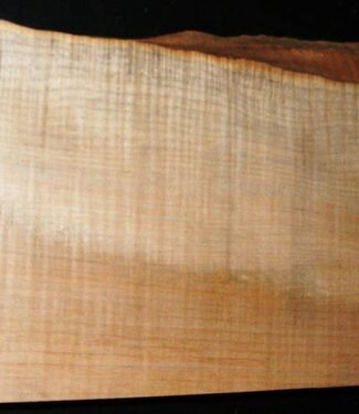 Softmaple, Guitar-Body, 543 x 185 x 55 mm, 3,3 kg