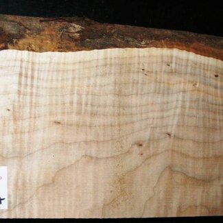 Softmaple, Guitar-Body, 556 x 190 x 58 mm, 4,3 kg