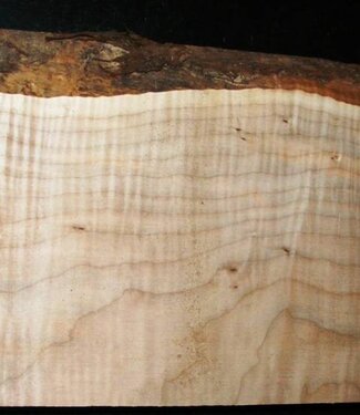 Softmaple, Guitar-Body, 556 x 190 x 58 mm, 4,3 kg