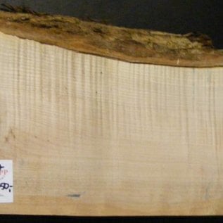 Ahorn, amerik. SPITZAHORN, "Soft Maple", geriegelt, 540 x 190 x 55 mm, 3,8  kg, Acer macrophyllum