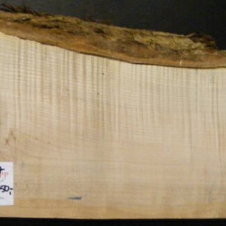 SPITZAHORN, "Soft Maple", geriegelt, 540 x 190 x 55 mm, 3,8  kg