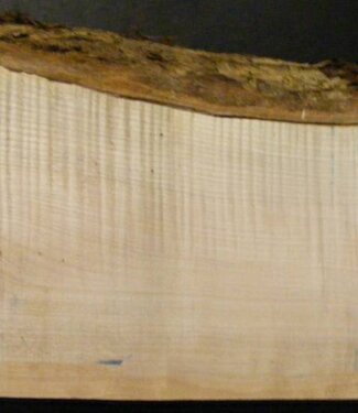 SPITZAHORN, "Soft Maple", geriegelt, 540 x 190 x 55 mm, 3,8  kg