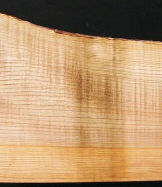 Soft Maple, fiddleback, guitar body, 560 x 204 x 54 mm, 3,5 kg