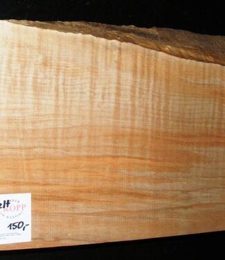 Soft Maple, fiddleback, guitar body, 558 x 200 x 54 mm, 3,9 kg
