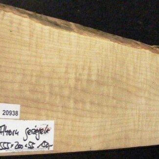 RIEGELAHORN, Gitarrenkorpus, 555 x 200 x 55 mm, 3,8 kg