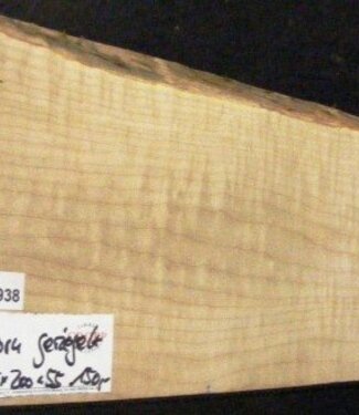 RIEGELAHORN, Gitarrenkorpus, 555 x 200 x 55 mm, 3,8 kg