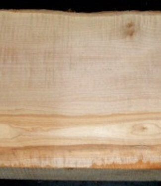 RIEGELAHORN, Gitarrenkorpus, 550 x 220 x 55 mm, 5,6 kg