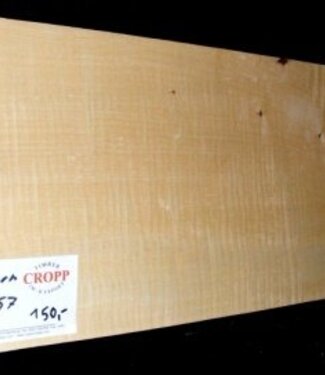 Sycamore, fiddleback, guitar body, 550 x 180 x 57 mm, 4 kg
