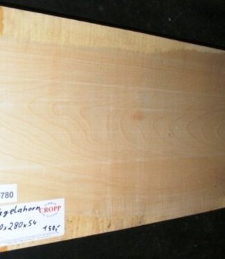 RIEGELAHORN, Gitarrenkorpus, 550 x  280x 54 mm, 5,4 kg