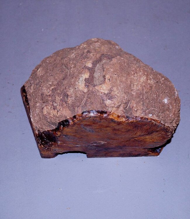 Caniste, 230 x 180 x 120 mm, small cracks, 2,7 kg, air dired, 2016