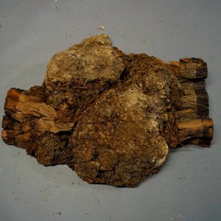 Robinie Maser ca. 510 x 390 x 145 mm, 5,3 kg