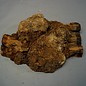 Robinia, European Locust Burl approx. 510 x 390 x 145 mm, 5,3 kg