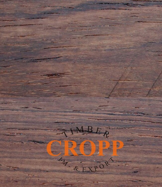 Honduras Rosewood Dimension