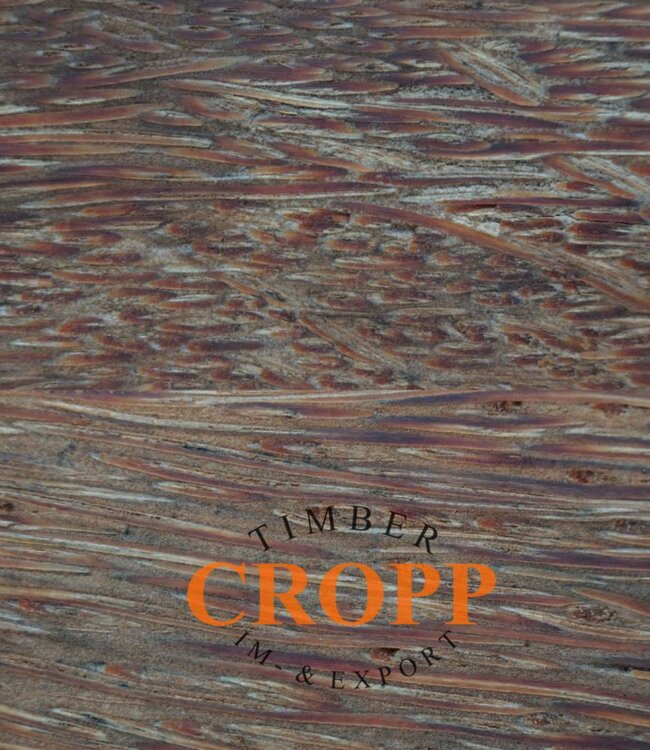 Red Palmira dimension