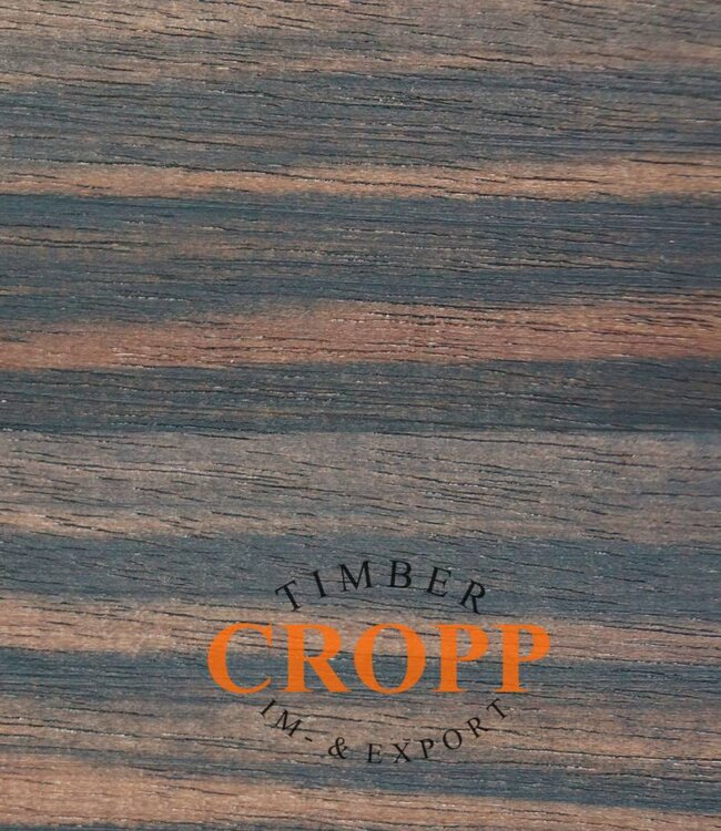 Macassar Ebony dimension