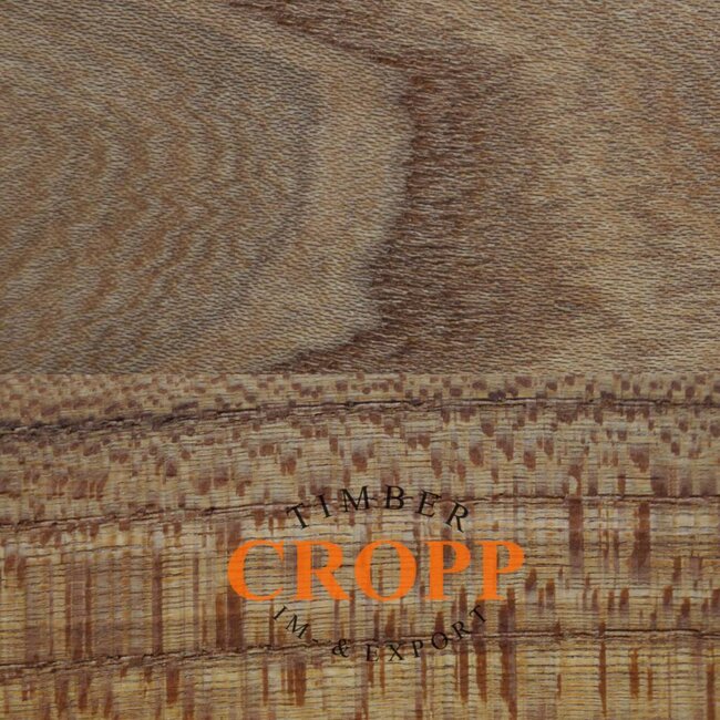 European Cherry dimension