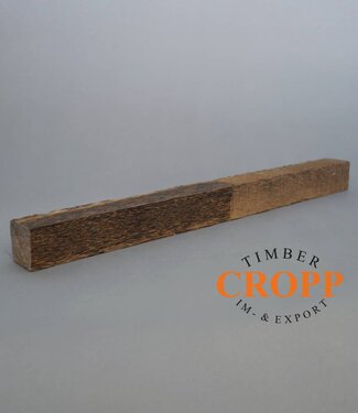 Black Palmira, Cocos, Dimension