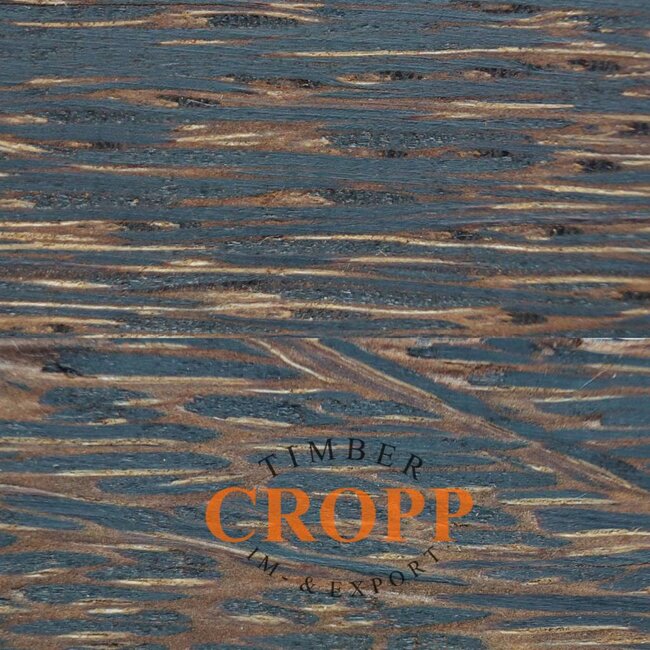 Black Palmira, Cocos, Dimension