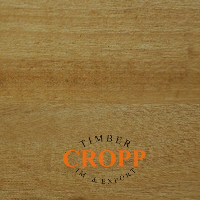 Amarillo Boxwood dimension