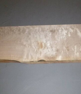 Soft Maple - amerikanischer Spitzahorn - quilted Gitarrenbody ca. 570 x 200 x 45 mm, 2,7 kg