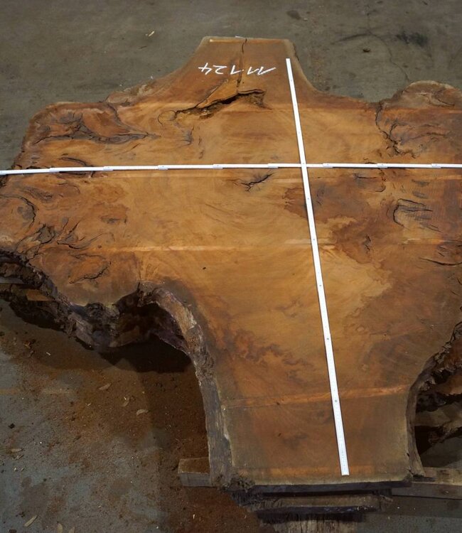 Sapeli Mahagony table top, approx.  2200 x 1800 x 52 mm