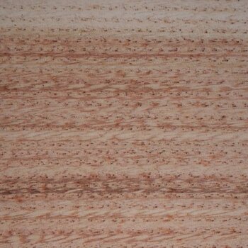 Kastanie, Marone, Edelkastanie