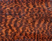 Snakewood, Letterwood