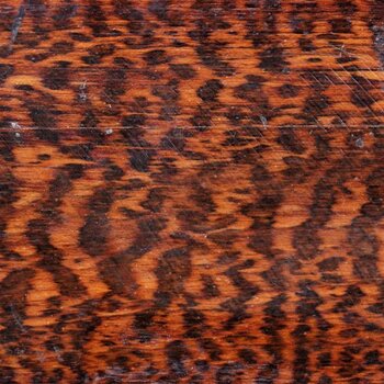 Schlangenholz, Snakewood, Letterwood
