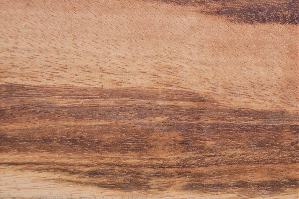 Tigerwood, Gonçalo alves