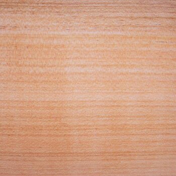 Kirschbaum, europäisch