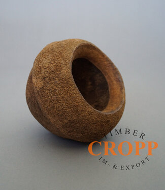 Sapucaia Nut 3 pieces Set