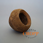 Sapucaia Nut 3 pieces Set