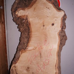 Ash Burl lumber on request