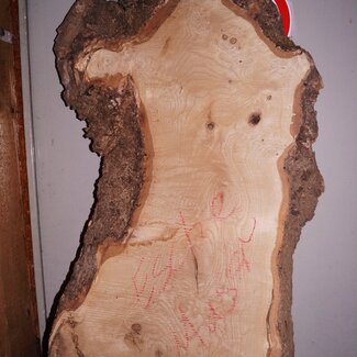 Ash Burl lumber on request