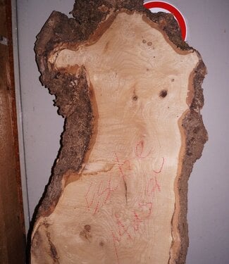 Ash Burl lumber on request
