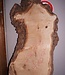 Ash Burl lumber on request