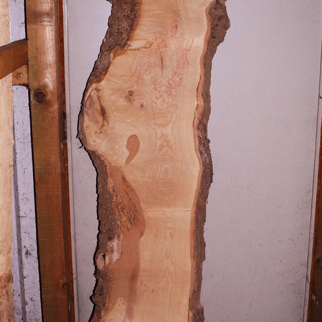 Esche Maser Schnittware auf Anfrage