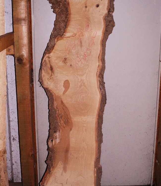 Ash Burl lumber on request