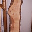 Ash Burl lumber on request