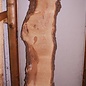 Ash Burl lumber on request