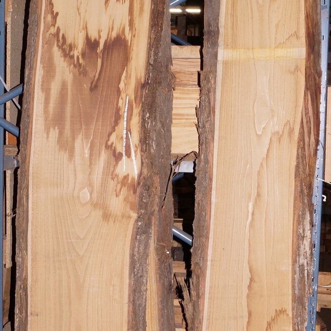 Marone, Kastanie Schnittware auf Anfrage