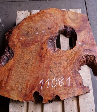 Kampfer Tischplatte, ca. 1050 x 950 x 55 mm, 41 kg, 11081